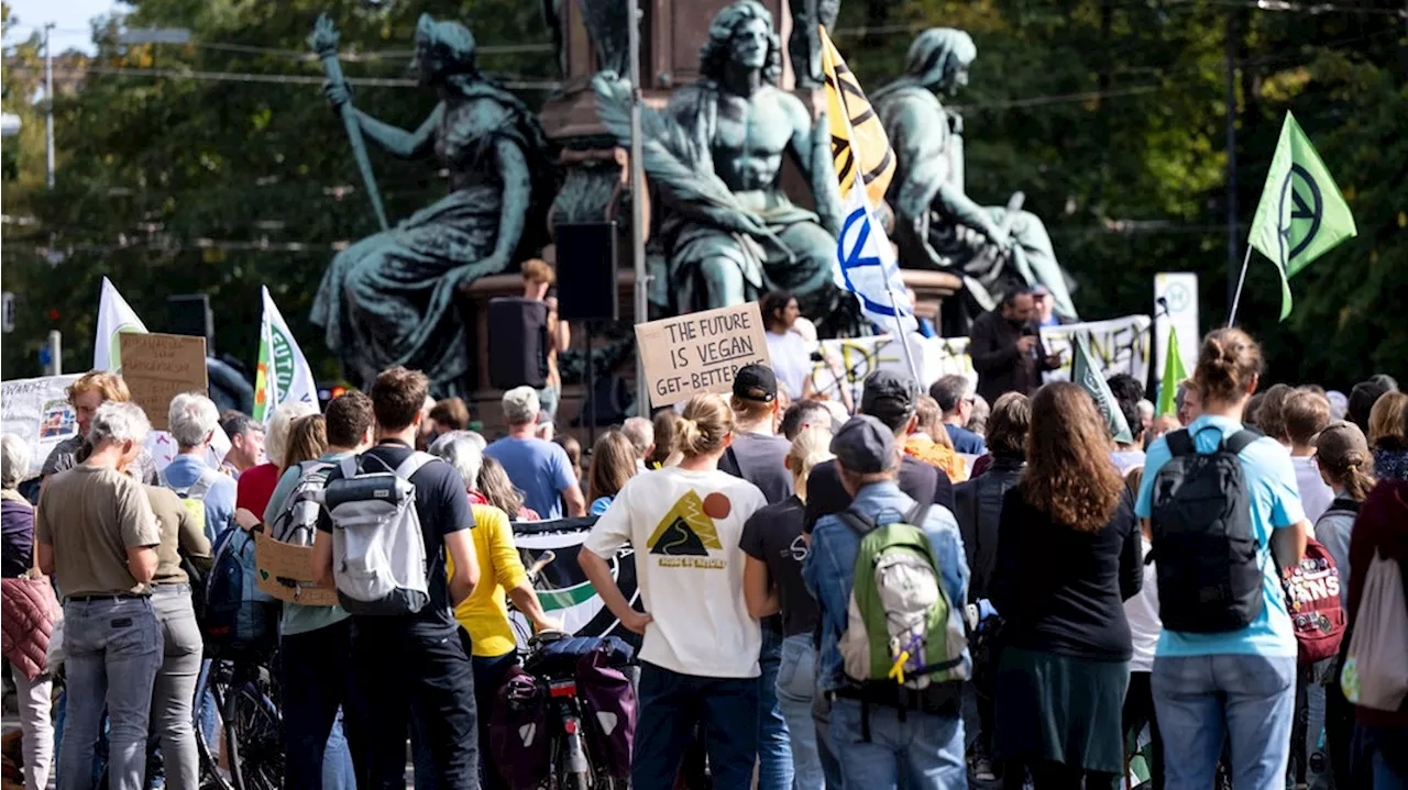 Spaltungspotenzial bei Fridays for Future?