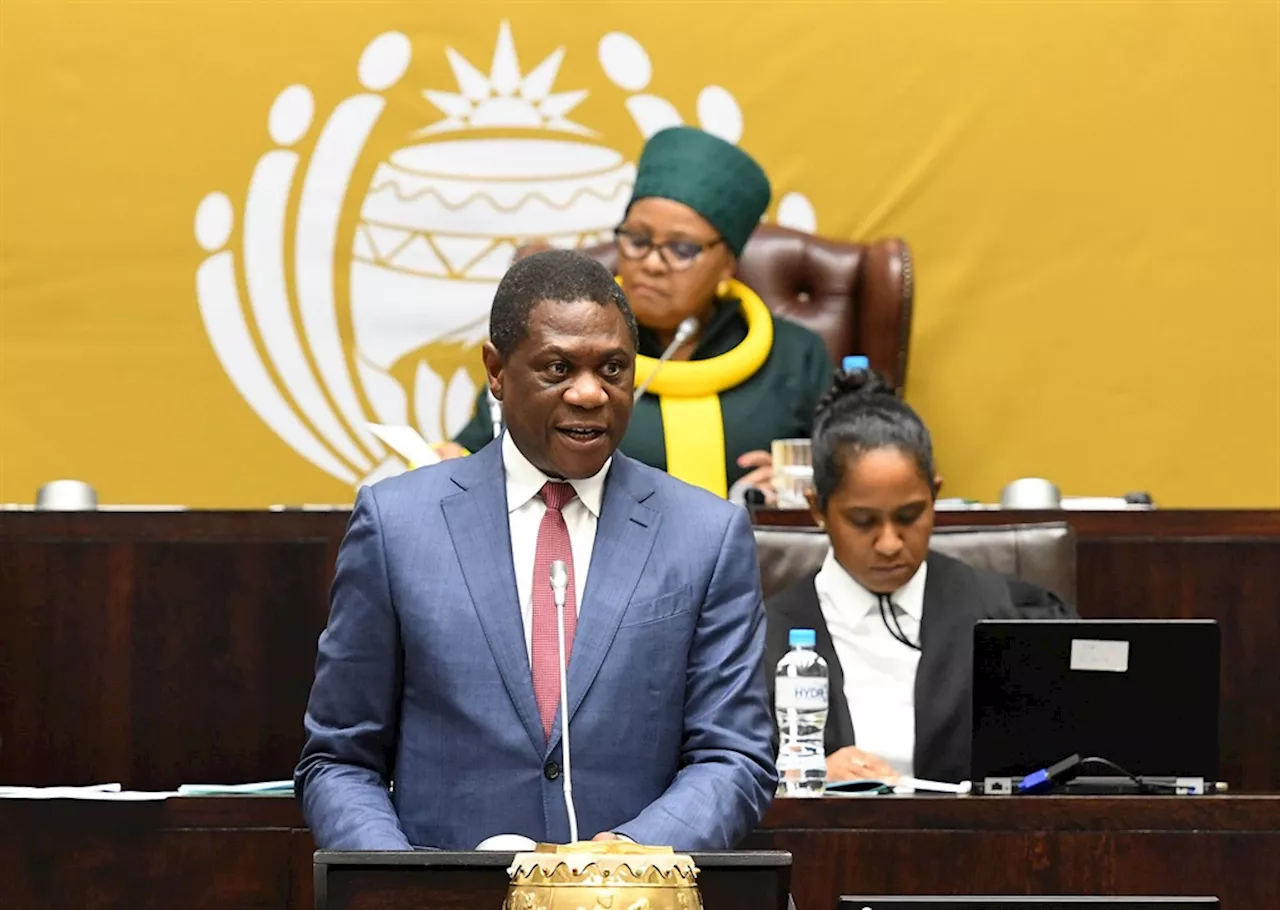 Mashatile denies cadre deployment to blame for service delivery failures, says ANC deploys the 'best'