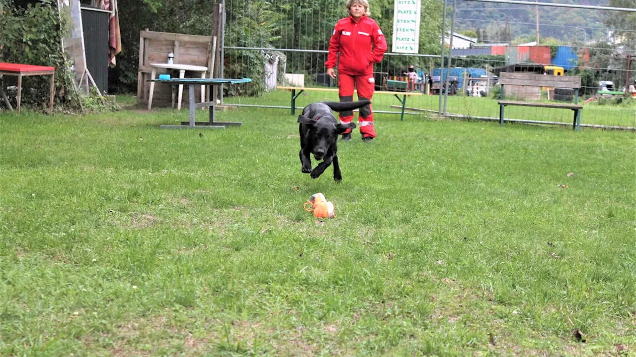 Hundeplatz für Rettungshunde in Kritzendorf