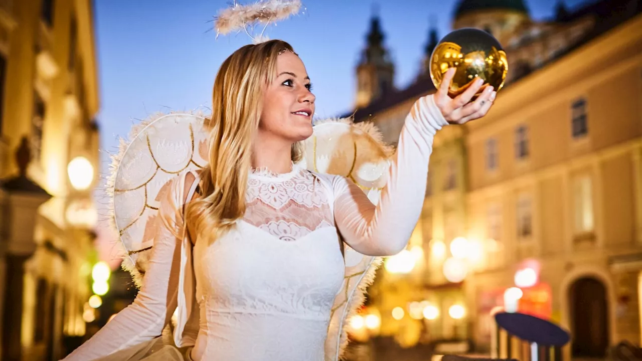 Jobangebote auf der Burgruine Aggstein und in der Stadt Melk