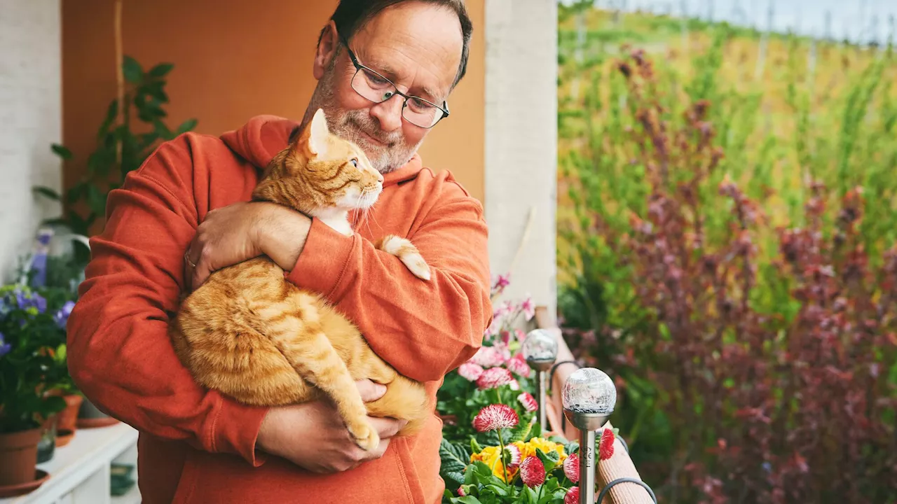 Comment prévoir l’avenir de mon animal de compagnie après mon décès ?