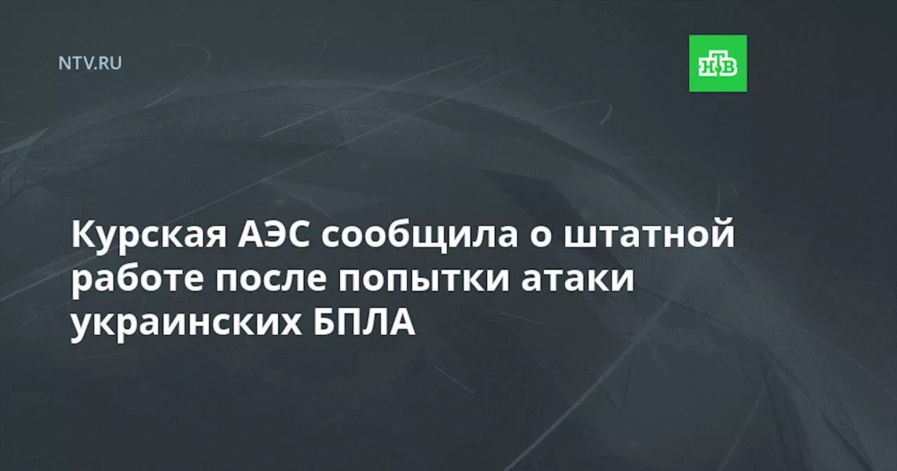 Курская АЭС сообщила о штатной работе после попытки атаки украинских БПЛА