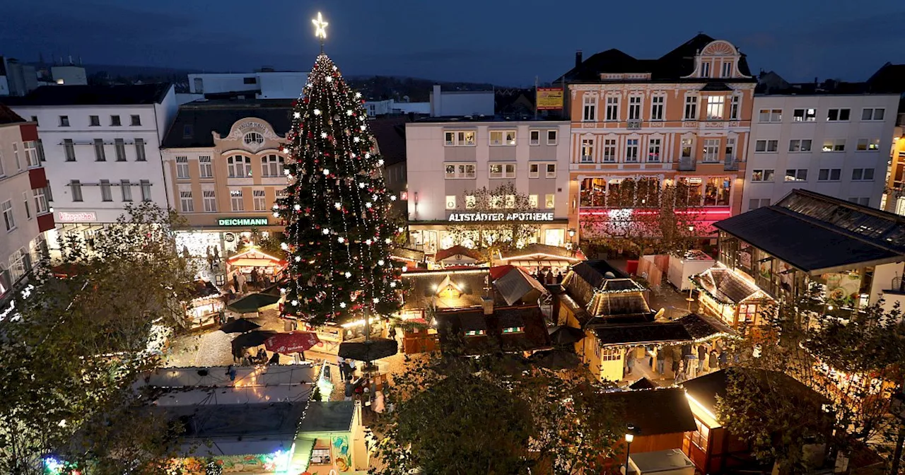 Herforder Weihnachtslicht: Es gibt wieder eine Tanne auf dem Alten Markt