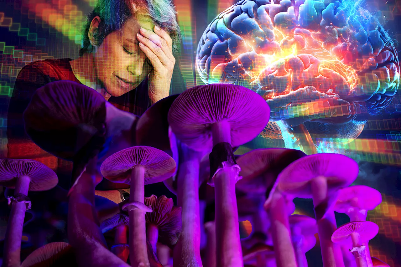 Here's what magic mushrooms do to your brain — it's absolutely wild, and potentially dangerous