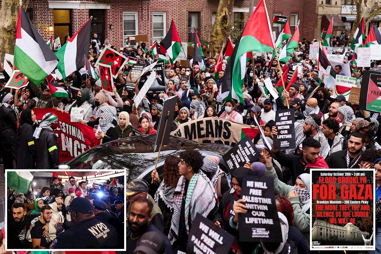 Pro-Palestine Protesters Plan To 'flood' Brooklyn -- Near Hasidic ...