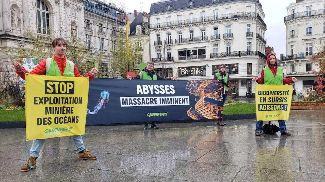 Greenpeace dénonce les actions de TotalEnergies ce samedi à Angers