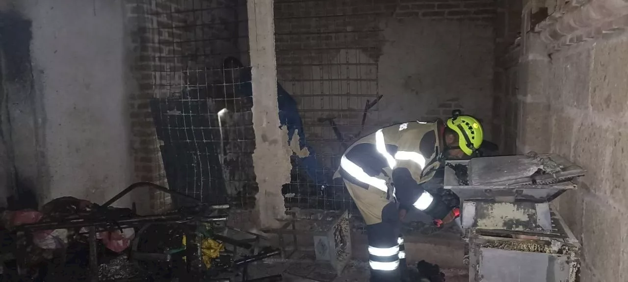 Incendio en predio de Lomas del Padre en Guanajuato deja a siete cachorritos calcinados