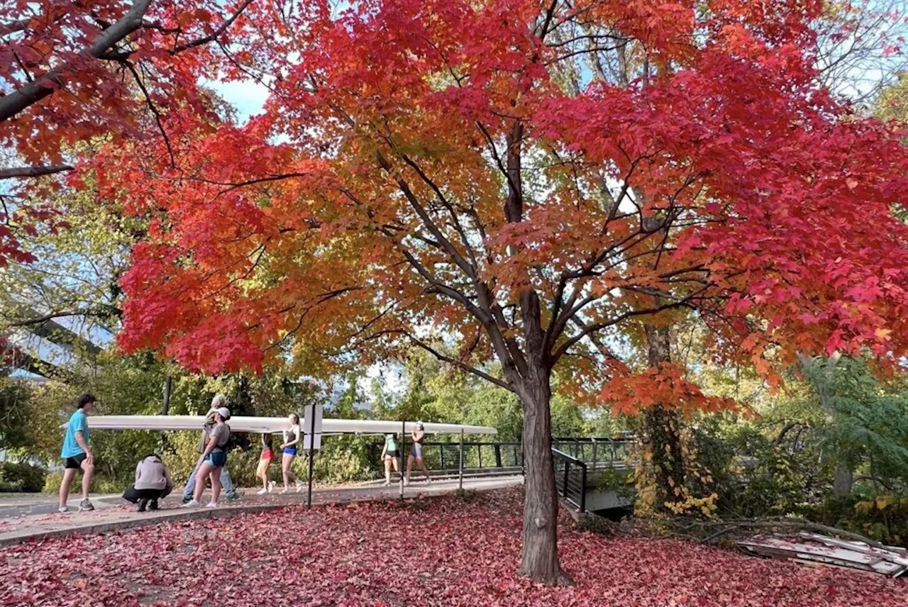 – Harris Teeter (Thursday) and Rock Creek Trail next to Rose Park (Thursday)