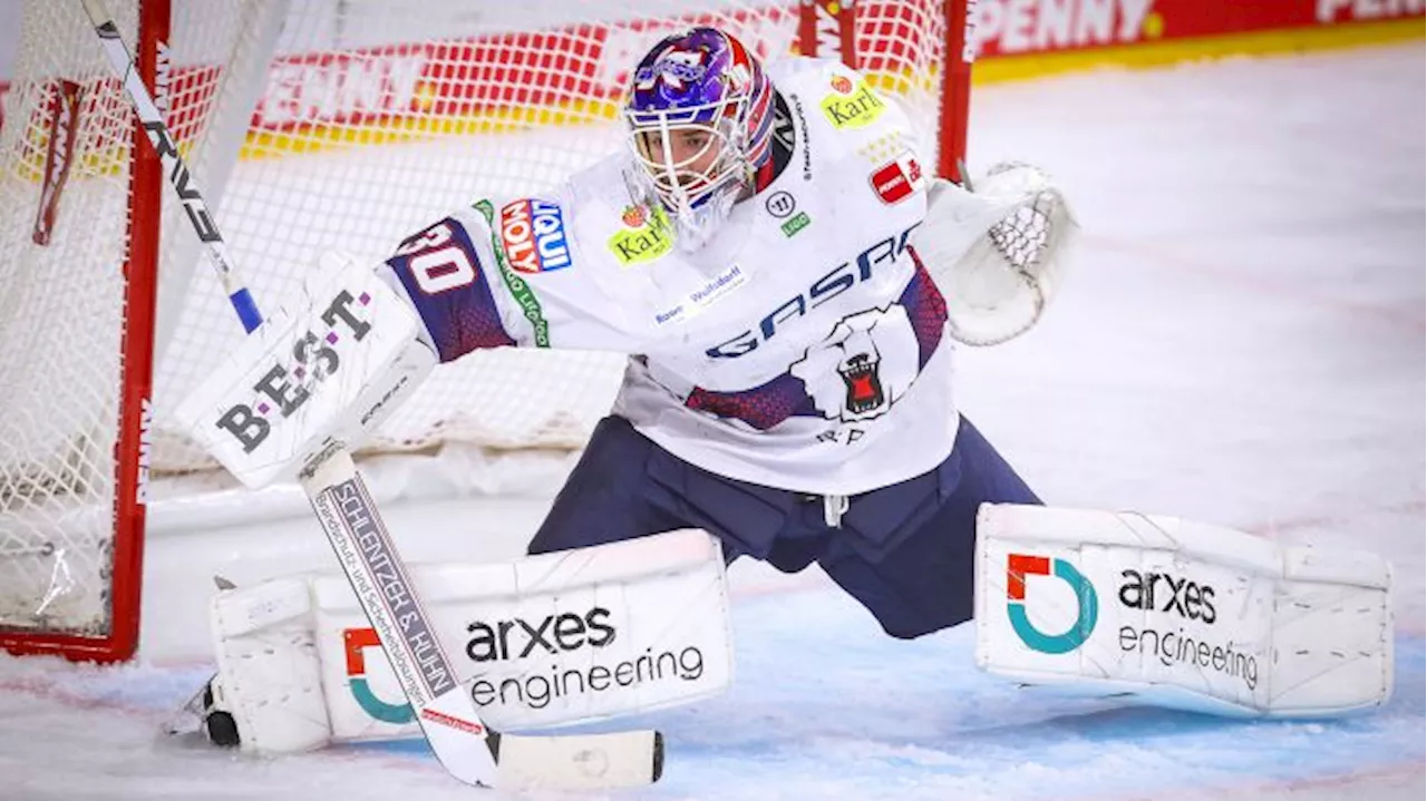 'Die Wand' im Tor der Eisbären