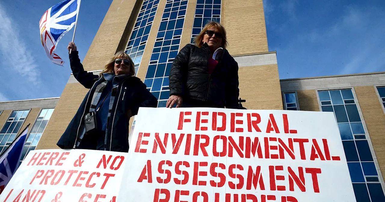 Port au Port Peninsula wind project environmental concerns focus of St. John's rally Friday