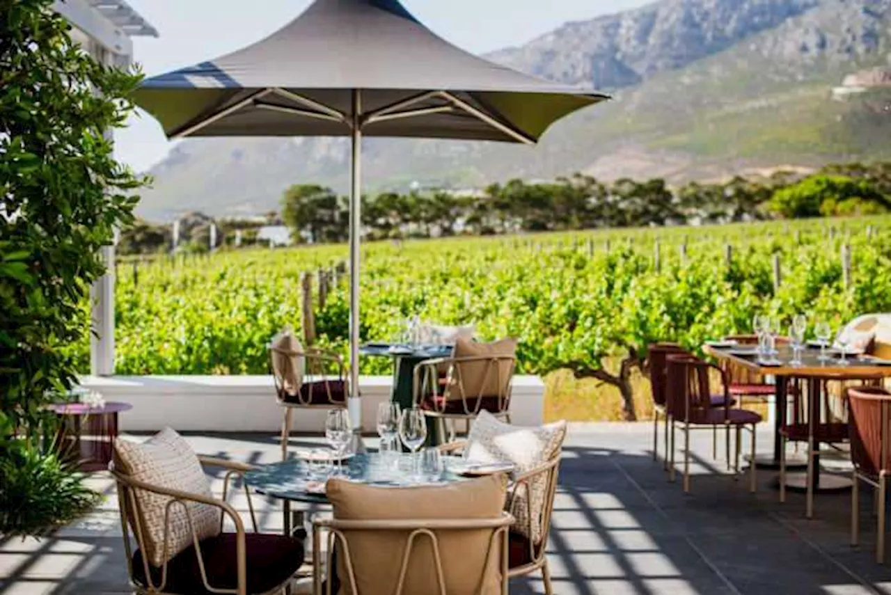 Year-End Celebrations at Steenberg