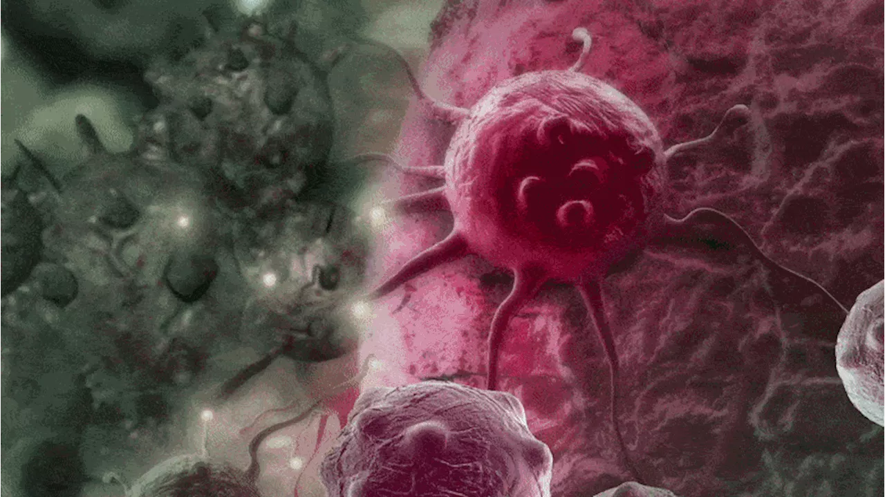 Scientists Discover a “Switch” To Trigger Cancer Cell Death