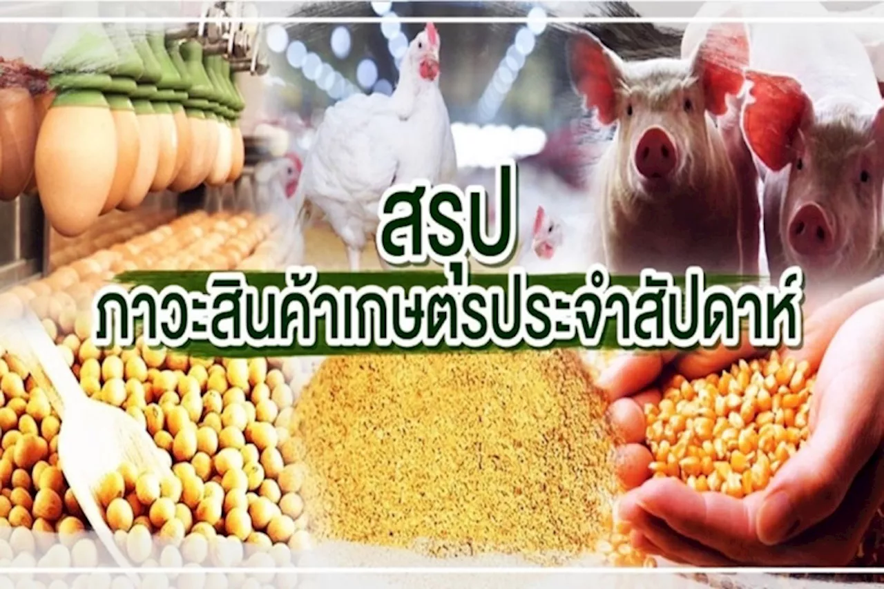 สรุปภาวะสินค้าเกษตรประจำสัปดาห์ วันที่ 24-27 ตุลาคม 2566