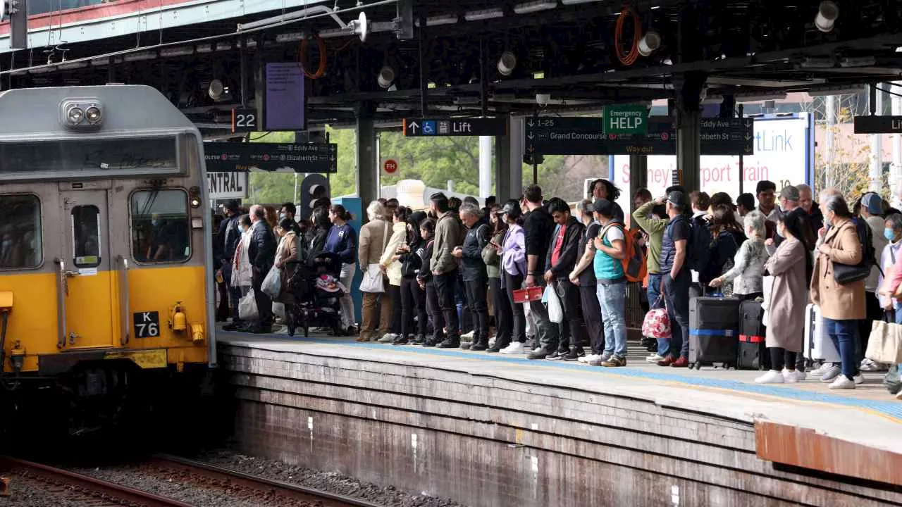 Sydney commuters to face major service disruptions after network-wide error