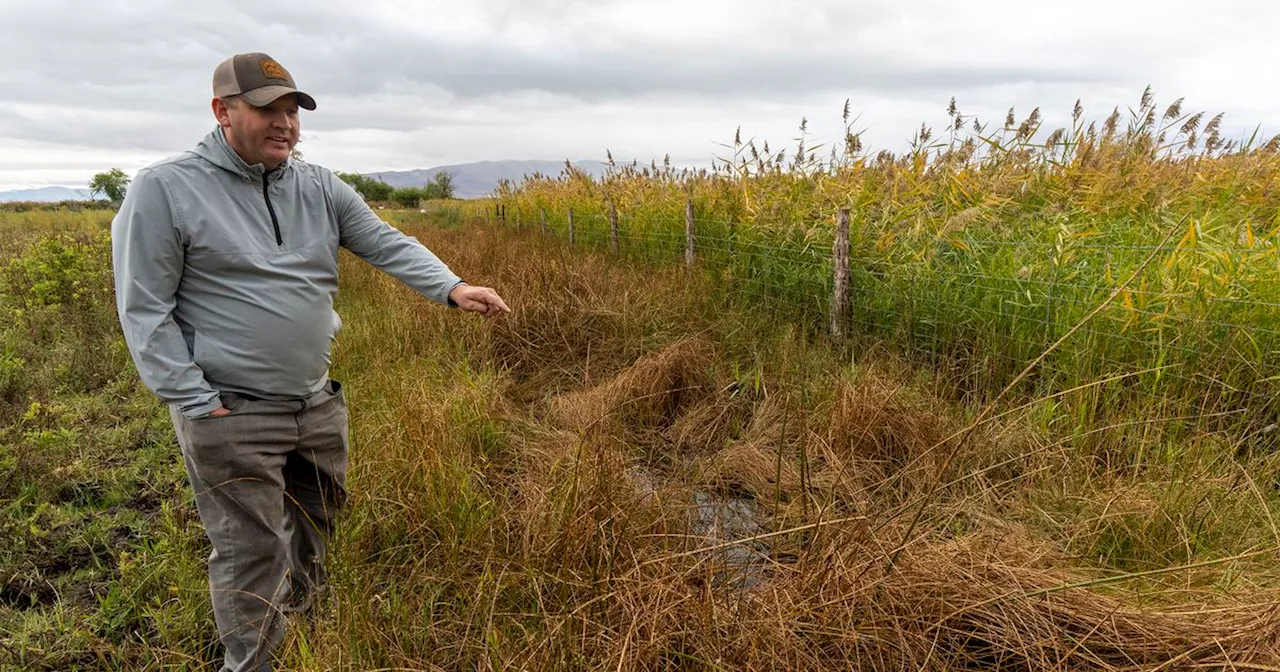 How plans to dredge Utah Lake blew up a deal for public access and a trail uniting Utah County