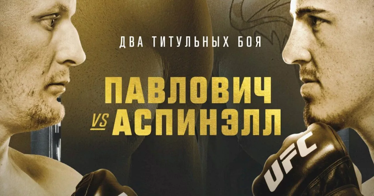 Опубликован обновленный постер UFC 295 с афишей боя Павловича и Аспиналла