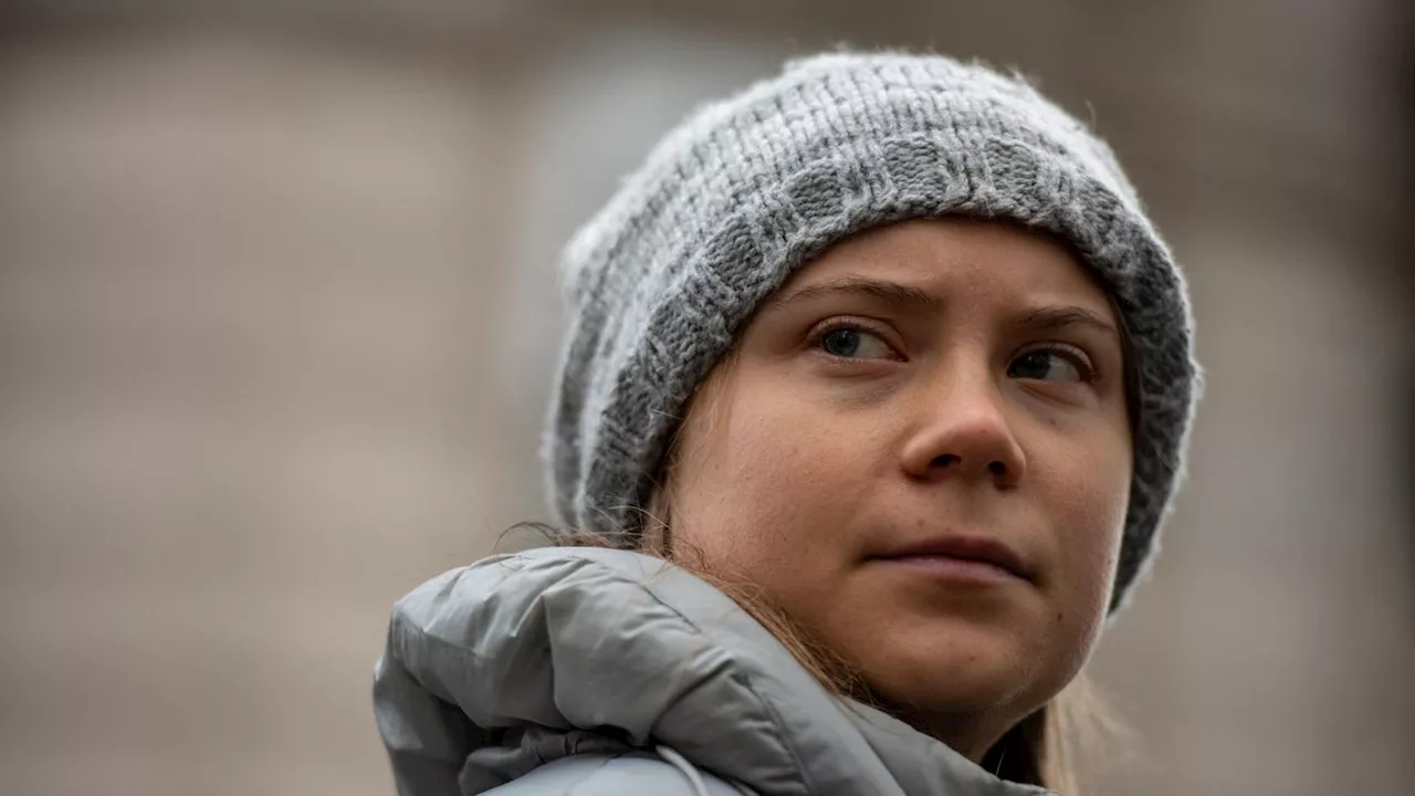 Israel-News: Greta Thunberg fordert erneut 'Gerechtigkeit für Palästina'