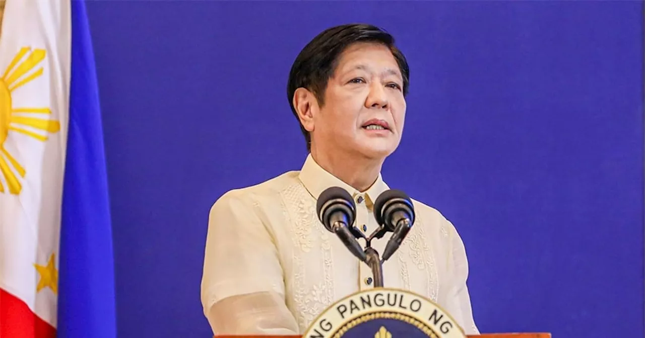 Marcos signs law institutionalizing automatic LGU income classification