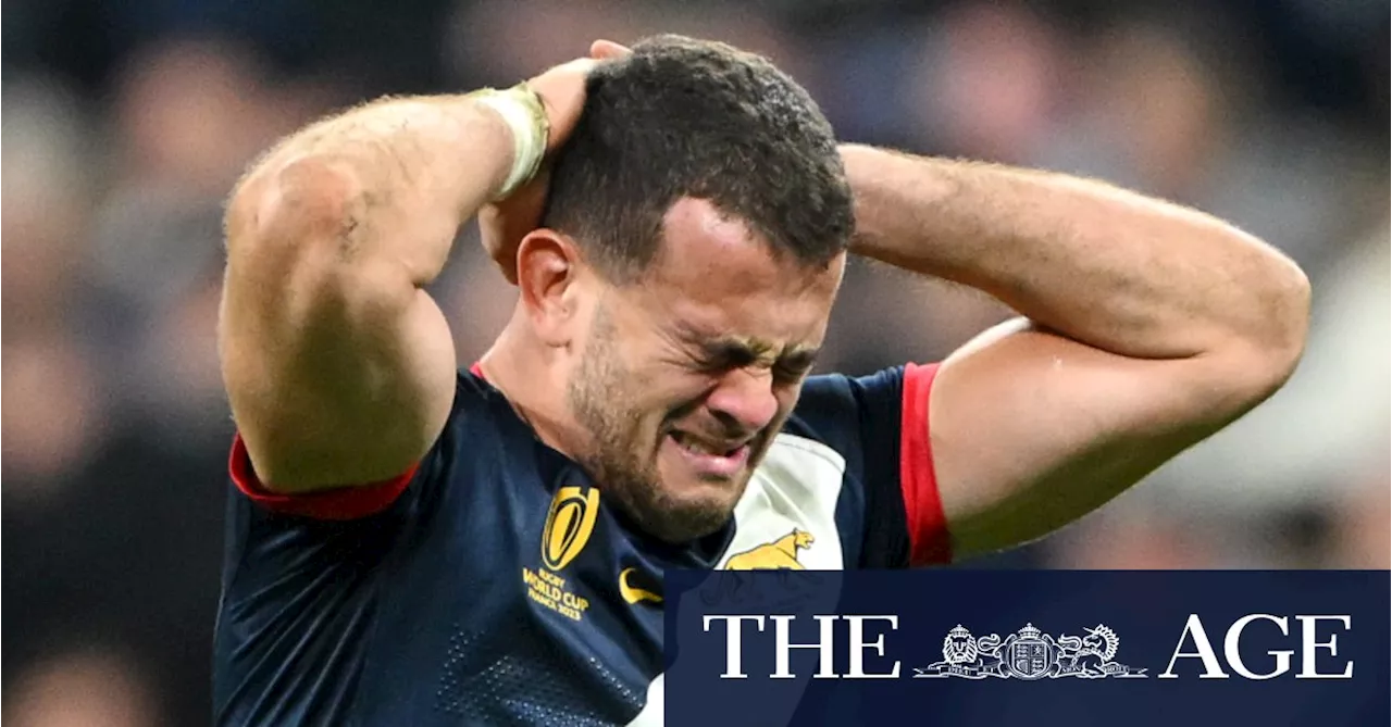 ‘My players deserve better’: Cheika blames Australian referee after Argentina’s cruel World Cup defeat