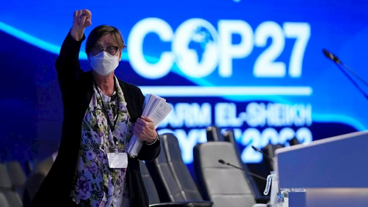 India likely will not participate in COP28's global cooling agreement