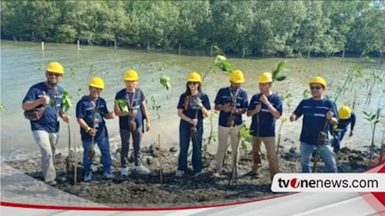 PNM Gandeng PT Waskita Beton Precast Tanam Mangrove dan Beri Akses Air Bersih