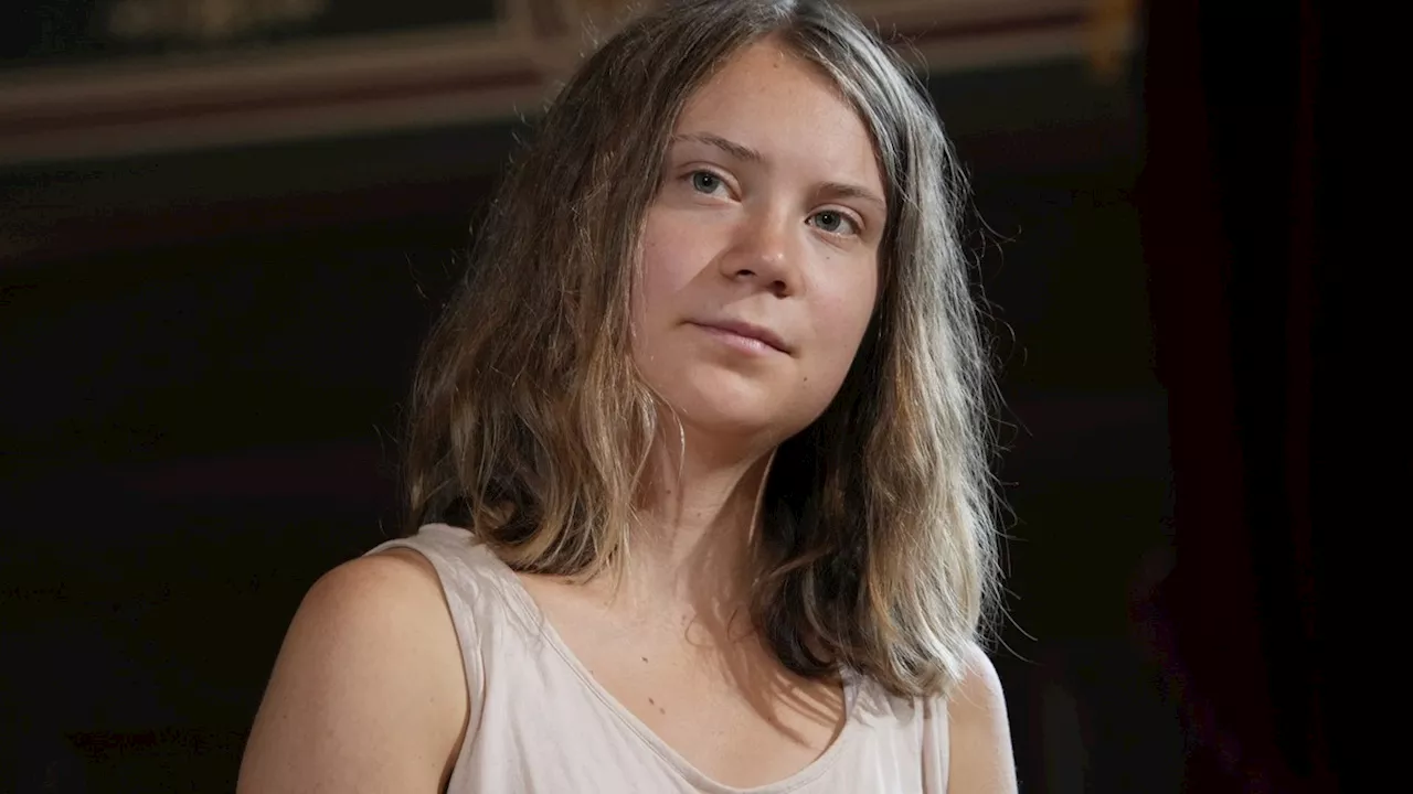 Israel-Krieg: Greta Thunberg macht trotz Kritik weiter