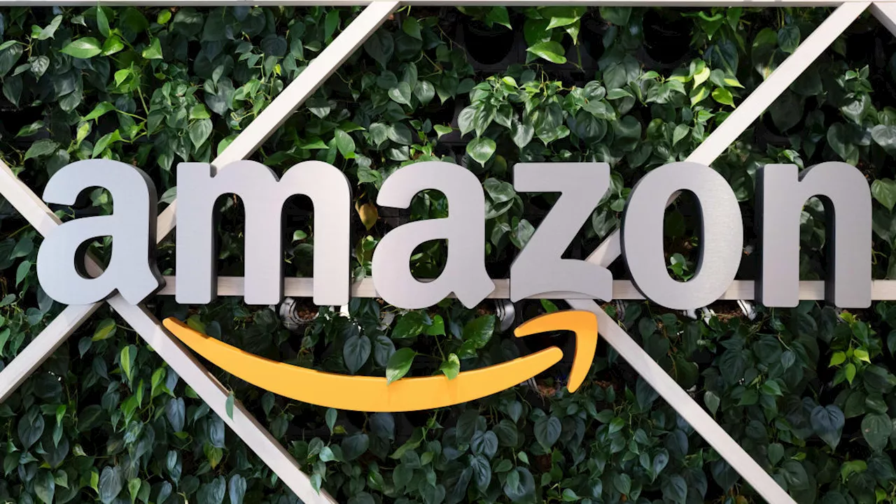 Amazon has a lot more efficiencies it can unlock: Analyst