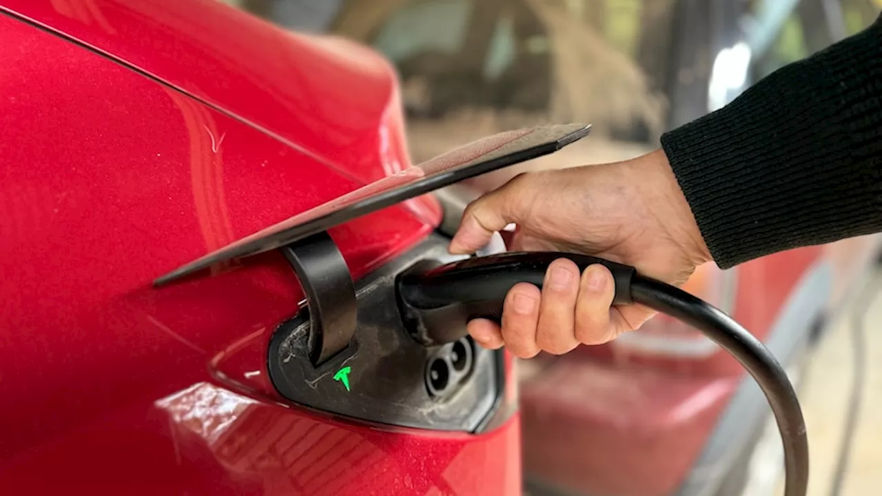 More than 40 per cent of South Australians would consider buying an electric vehicle, RAA survey finds