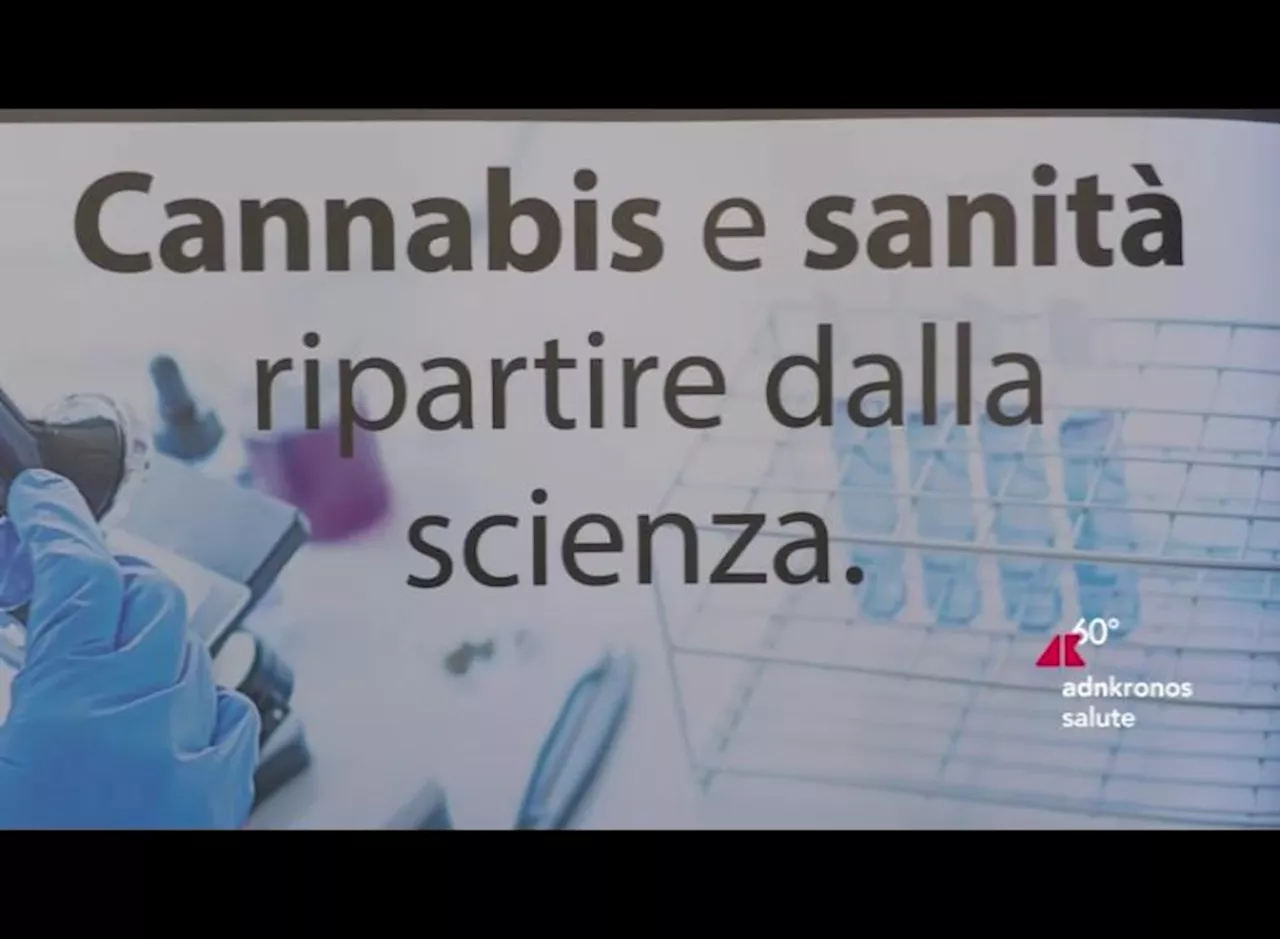 Cannabis e sanità, esperti: “ripartire dalla scienza e distinguere farmaci da altri prodotti”