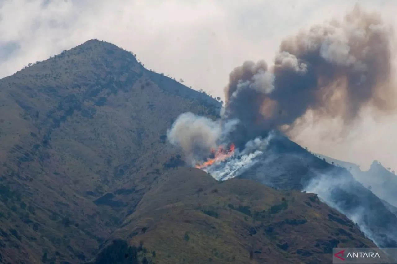 Kebakaran Gunung Merbabu akan dipadamkan dengan 'water boombing'