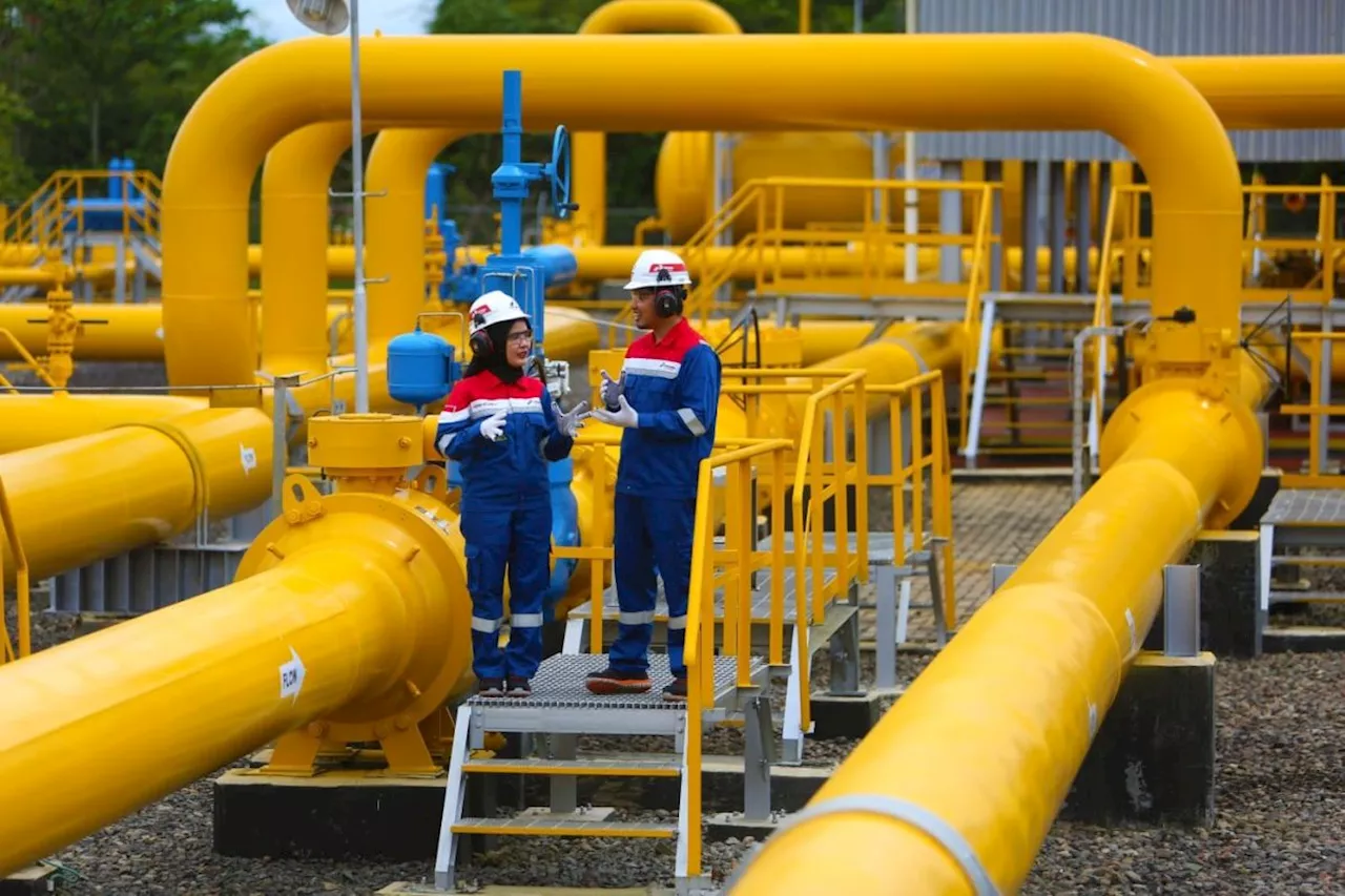 PGN Subholding Gas Pertamina catat laba bersih 198,5 juta dolar AS