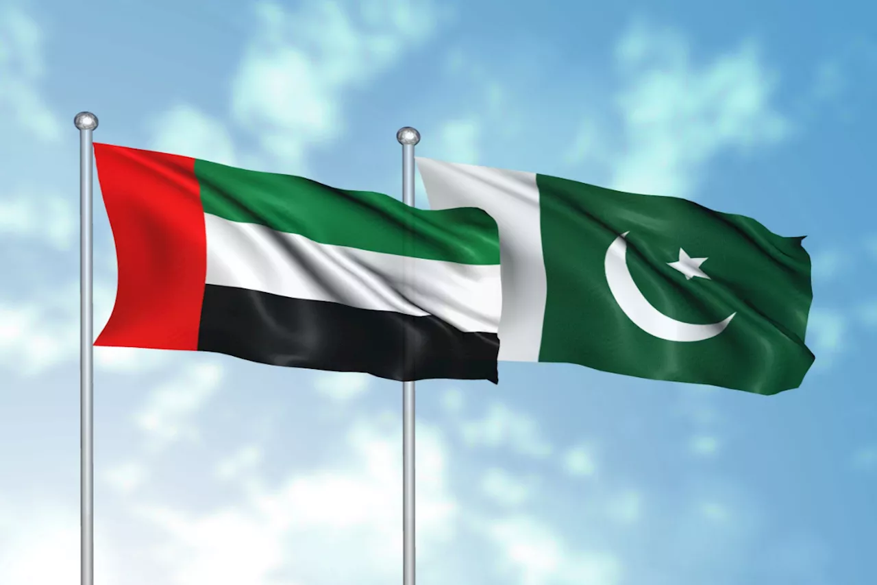 UAE Updates Work Permit Fees for Pakistani Freelancers