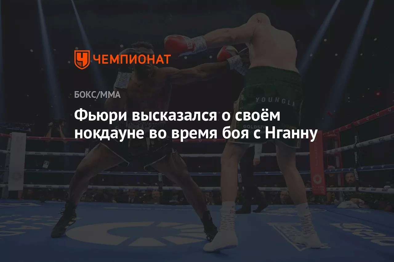 Фьюри высказался о своём нокдауне во время боя с Нганну