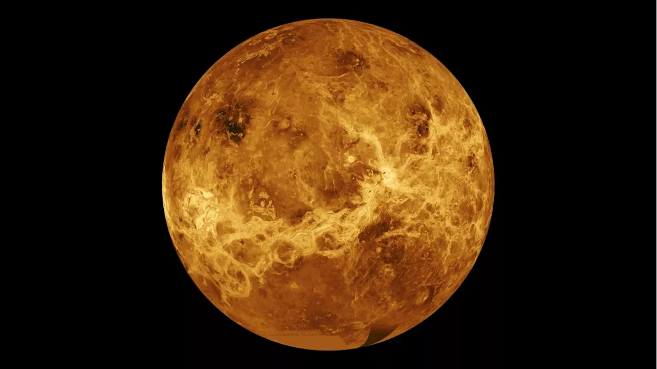 Venus Could Have Sustained Life in the Past, Study Suggests