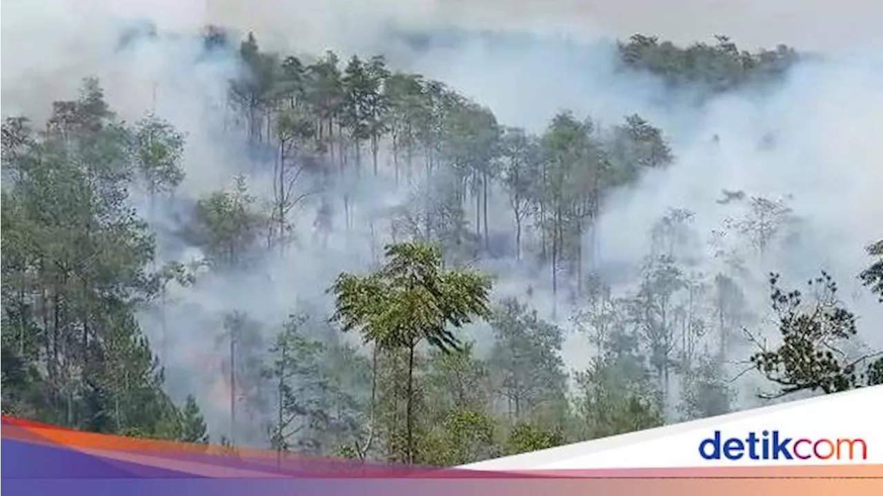 Gunung Merbabu Terbakar, Seluruh Jalur Pendakian Ditutup!