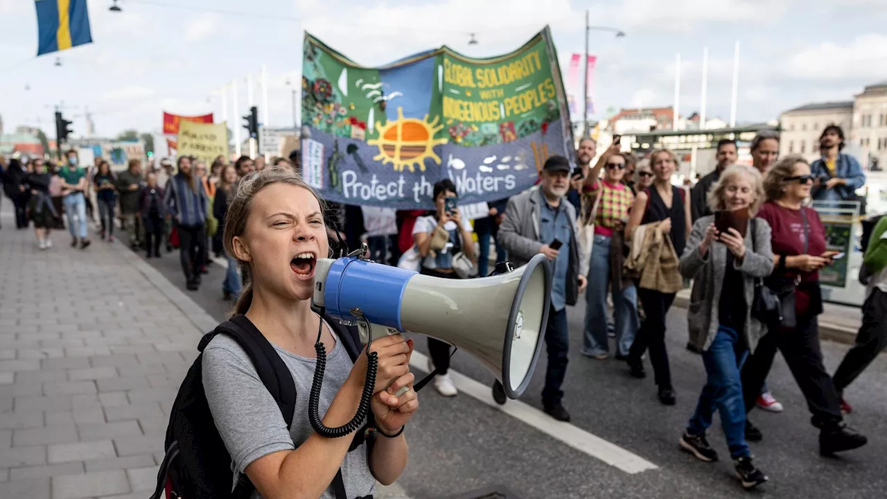 Kritik an Greta Thunberg wegen Israel-Äußerungen