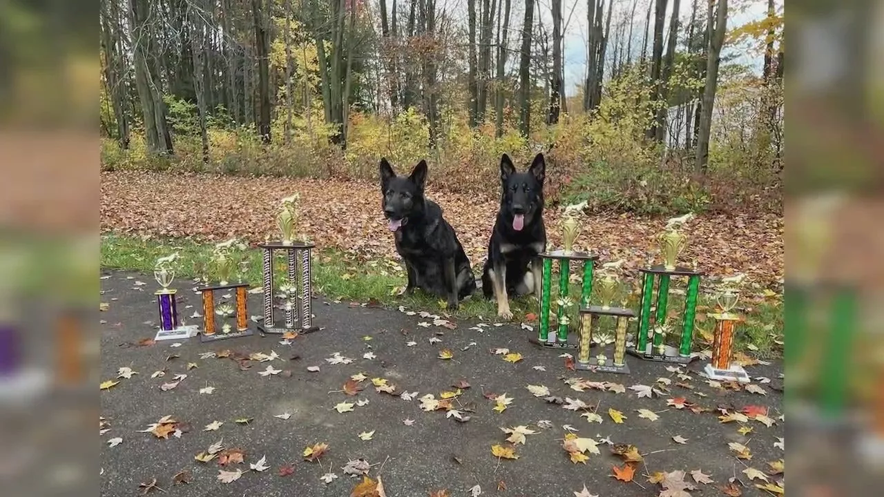 Lake County K9s dominate multi-state competition in Michigan