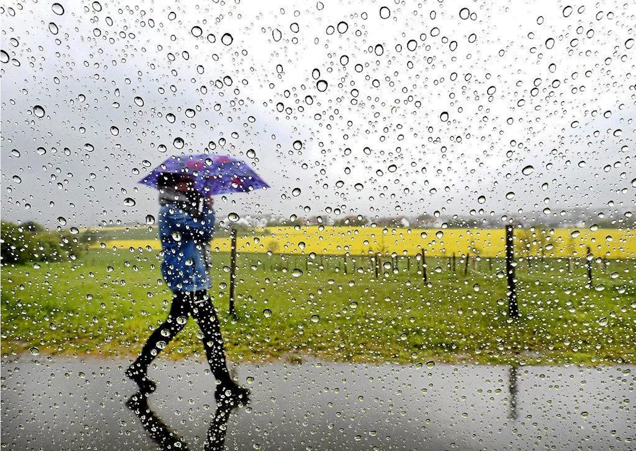 Ingen snö men en hel del regn väntas i Halland enligt SMHI