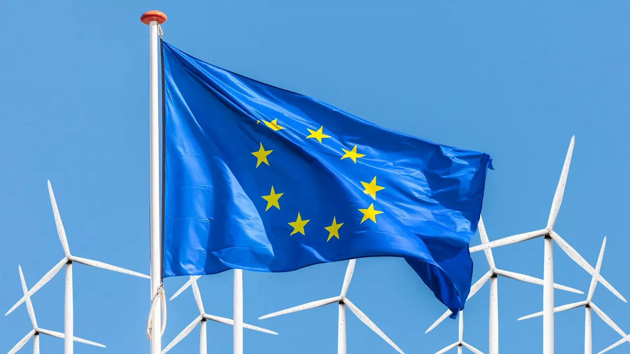 Roll-out rate of renewables rose 50% from 2021 to 2022: EU report