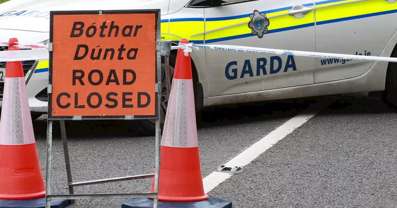 Gardaí caution over trend of rising pedestrian deaths on Irish roads