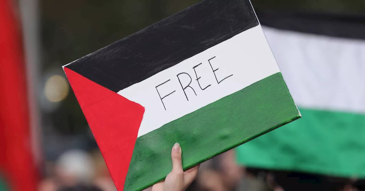 Rallies held across Ireland to call for ceasefire in Gaza