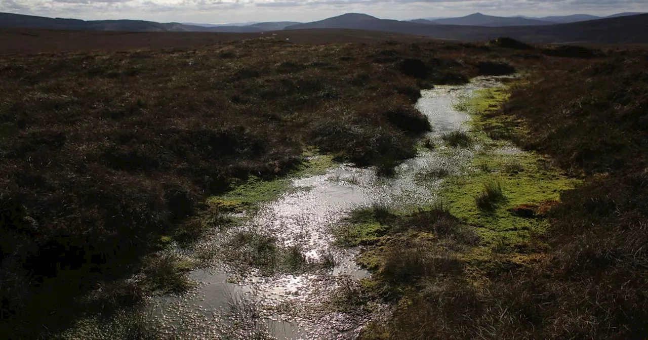 The Irish Times view on the Liffey: a river that defines Dublin