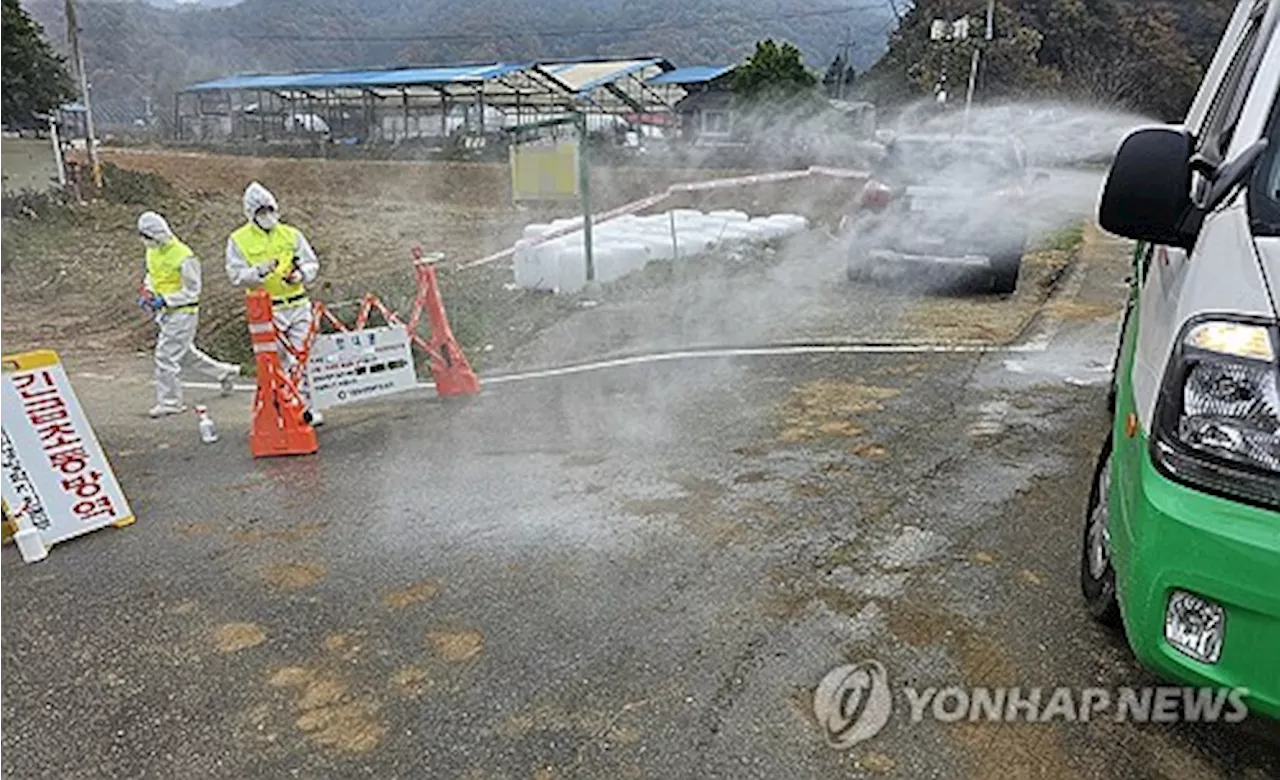 럼피스킨병 추가 3건 확진 총 55건...백신 400만 도입 추진