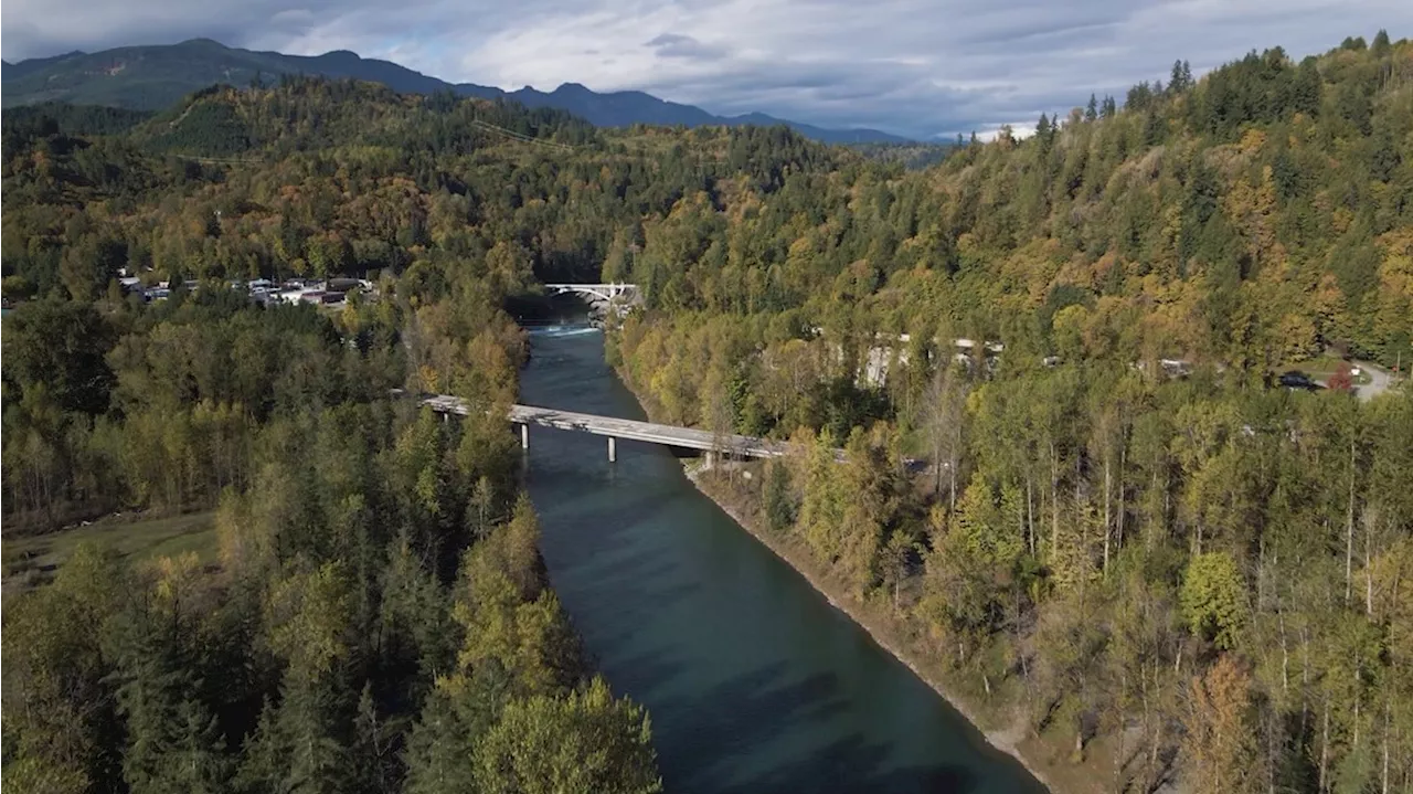 Washington's Baker River sockeye salmon run smashes record, despite hydroelectric dams