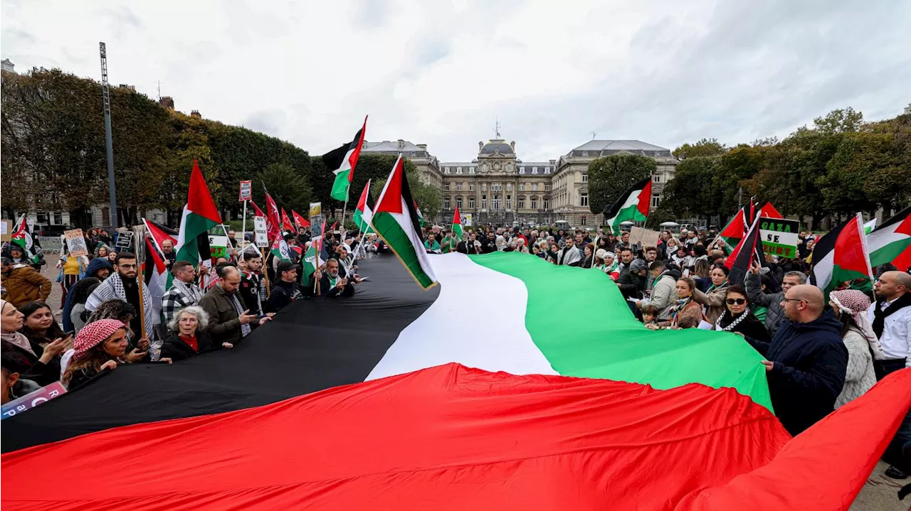 Manifestation à Lille pour la Palestine