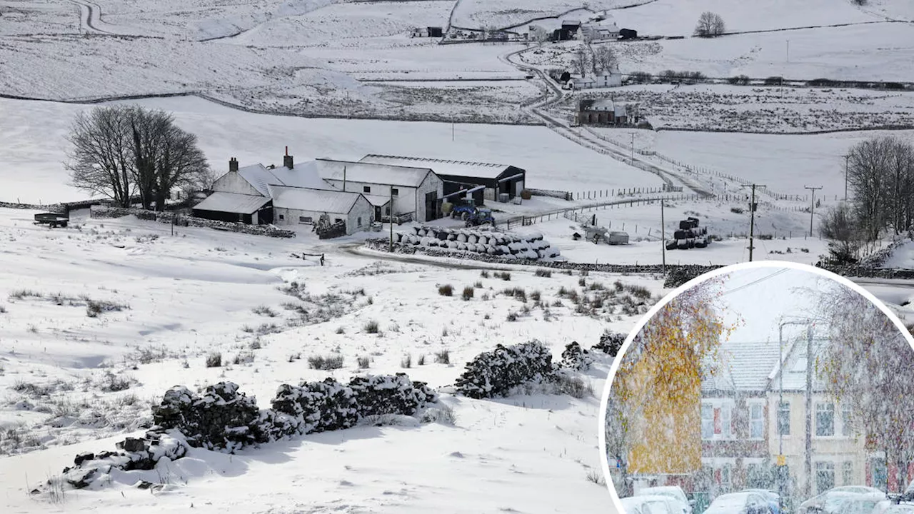 Exact date temperatures to 'plunge to -6C in polar blast' as Met Office issues fresh forecast