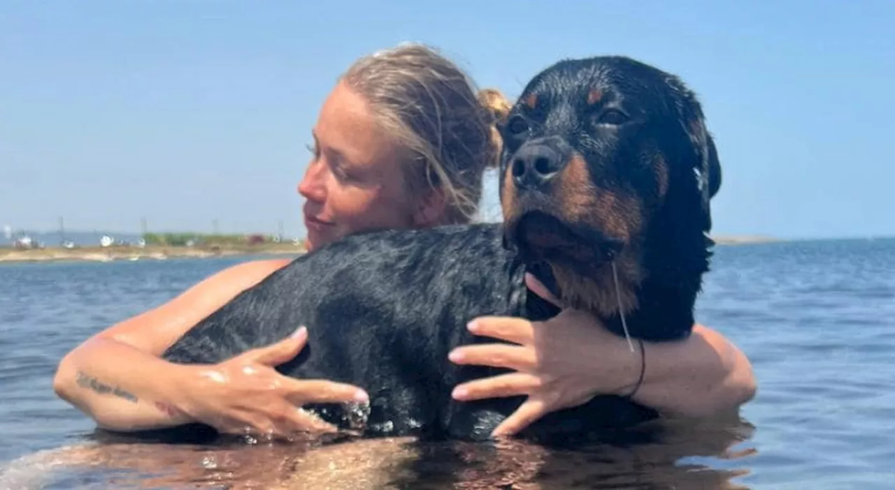 Rottweiler precipita su una donna incinta, la padrona del cane: «Non mi hanno fatto avvicinare, Cody si poteva