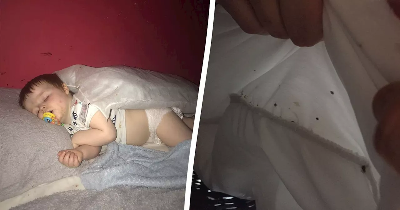 Family forced from home after bed bugs crawled into kids' ears and infested pram