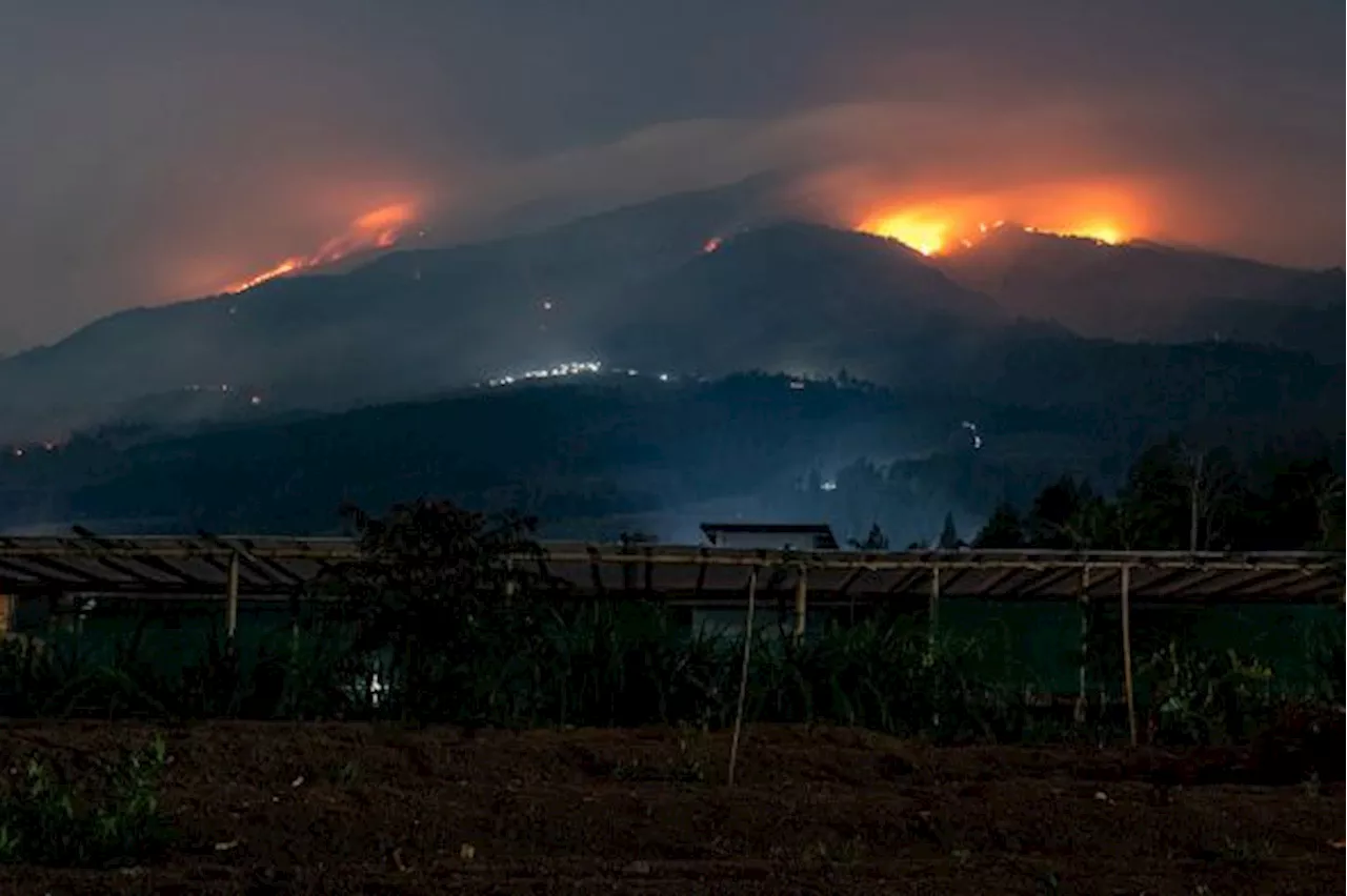 Kebakaran Lahan Gunung Merbabu Meluas