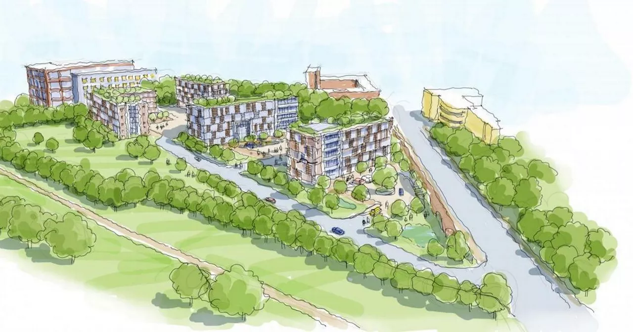 148 homes aimed at ‘young professionals’ set to be built close to town centre